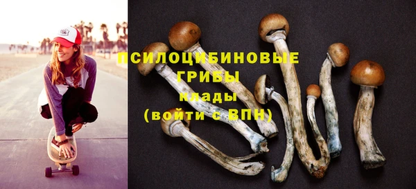 spice Россошь