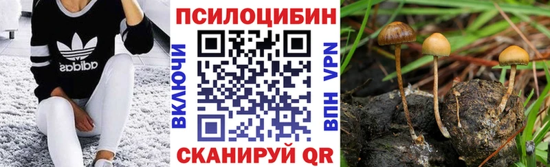 Псилоцибиновые грибы Psilocybine cubensis Купить где Семилуки